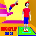 Backflip Dive 3d